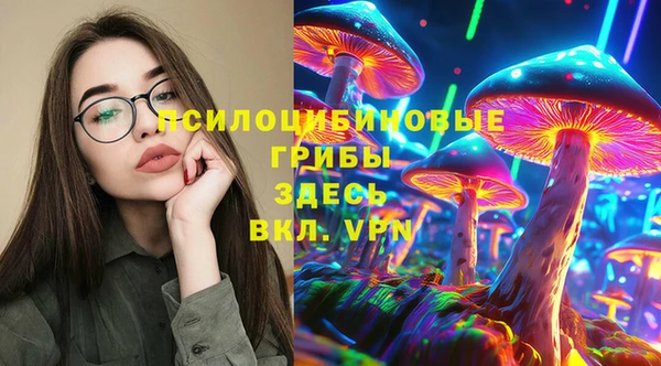 дурь Бородино