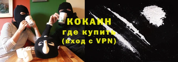 дмт Богородск
