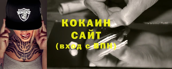 дурь Бородино