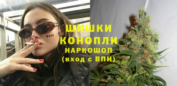 дурь Бородино