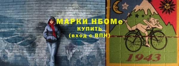 дурь Бородино