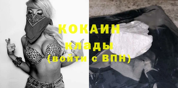 дурь Бородино