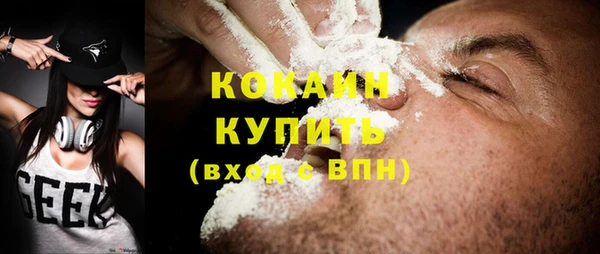 дурь Бородино